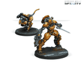 Sù-Jiàn Immediate Action Unit