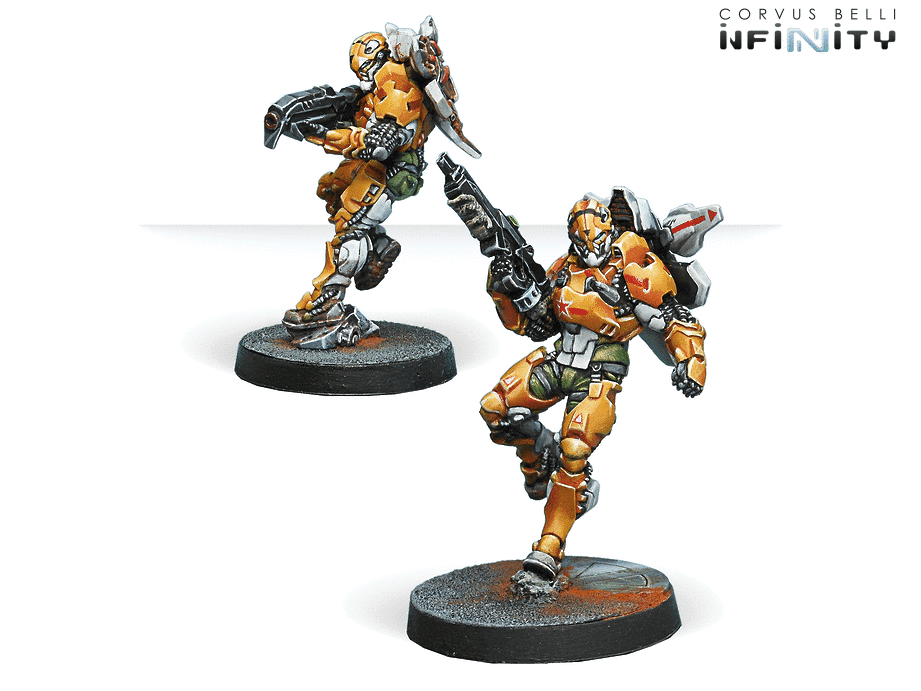 Tiger Soldiers